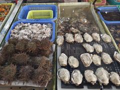 -南沙十九涌渔人码头-南门