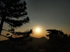 -天坛大佛
