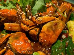 -馋嘴猫北京食堂·烤鸭·宵夜(亚运村店)