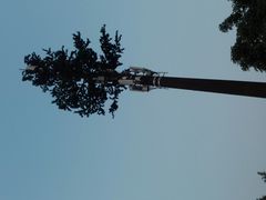 -大屏嶂森林公园