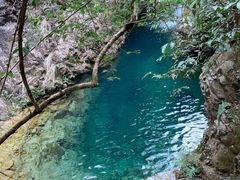 -南海湾森林生态园