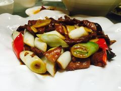 -喜乐餐厅•灯笼虾球首创者•本地小海鲜(二马路店)
