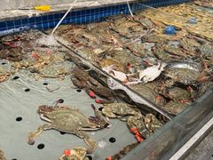 -一方渔歌蒸汽海鲜自助(文化路万达广场店)