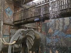 -呀路古热带植物园