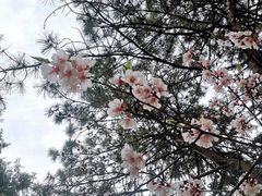 -颐和园