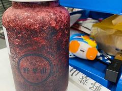 -野萃山·潮汕厚果汁(十亩地店)