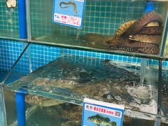 -琼大师东方烤乳猪(亚特兰蒂斯店)