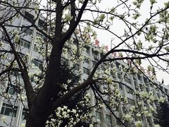 -西安交通大学(雁塔校区)
