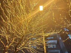 -顺峰(南二环店)