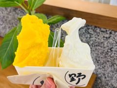 -野人先生Gelato(上海长宁龙之梦店)