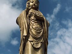 -紫竹林