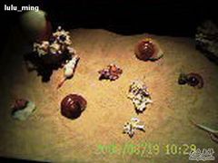 -亚龙湾中心广场·贝壳馆