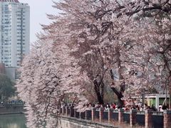 -红星桥(地铁站)