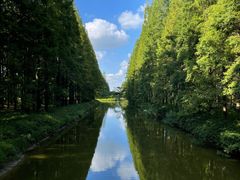 -黄海国家森林公园