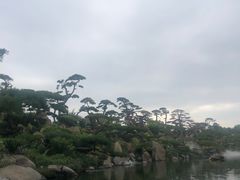 -罗红摄影艺术馆