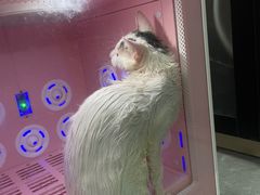 -贝康宠物医院·犬猫全科·小动物特色诊疗中心(东环路店)