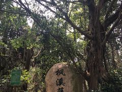 -东部华侨城