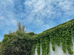 -回回锅贴(小河沿店)