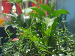 -半秋山西餐厅(巴南万达广场店)