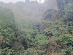 -青城山