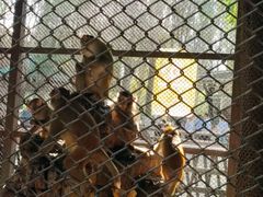 -长白岛森林公园