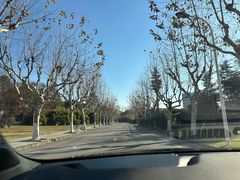 -同济大学(嘉定校区)