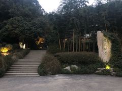 -十八棵（老龙井）御茶园(老龙井店)