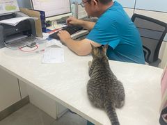 -中农国际动物医院24小时·猫科·骨科·急重症中心