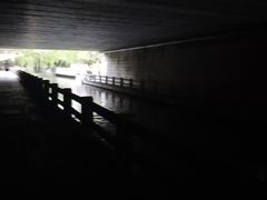-素清香(解放路店)