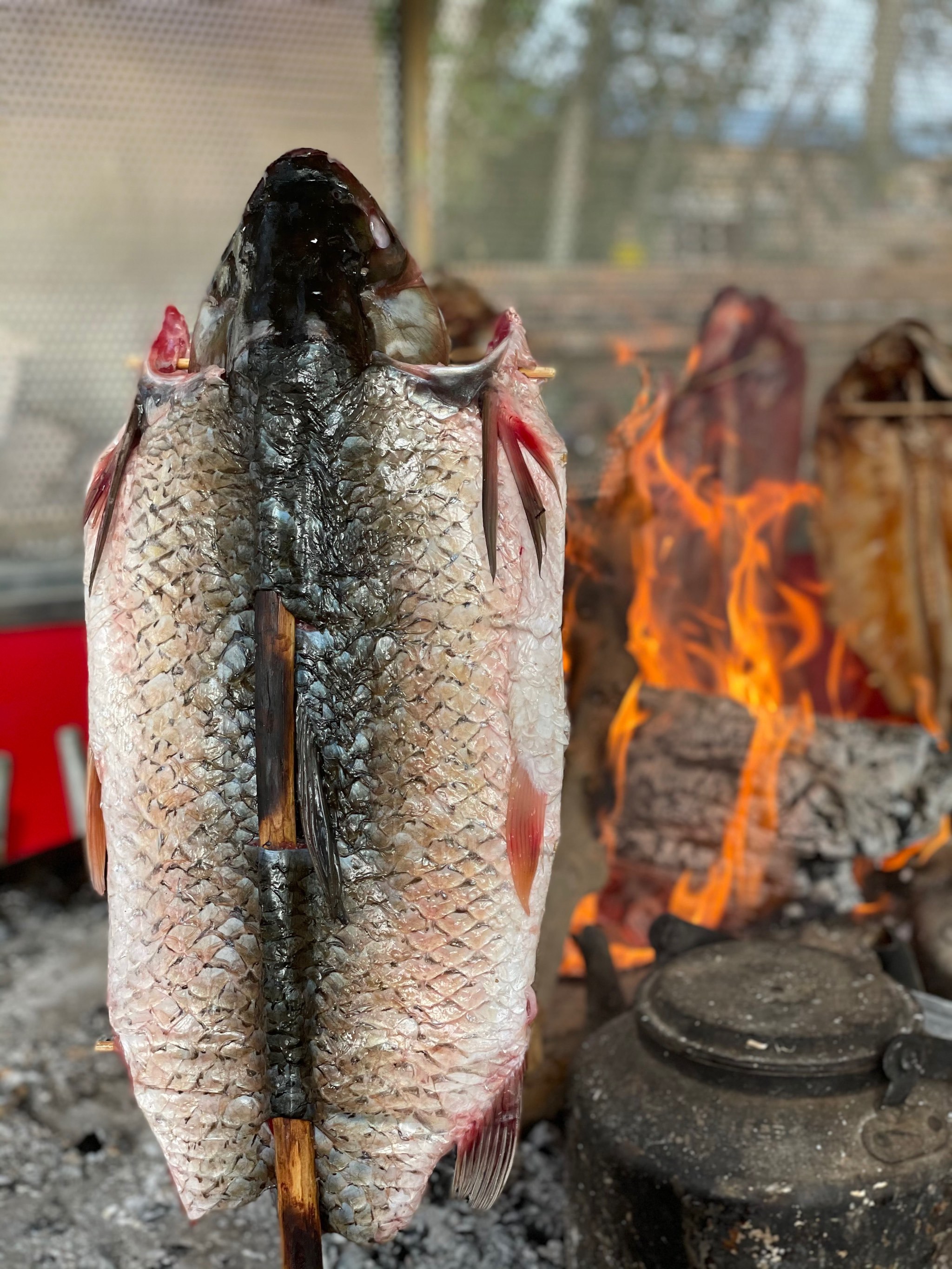喀什第一好吃的古法烤鱼～清澈的河流烤鱼店