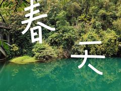 -鼎湖山风景区