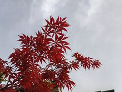 -老门东历史文化街区