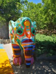 -大望京儿童游乐场