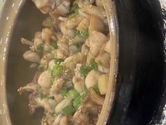 -红星光发煲仔饭(文海店)