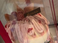 -莎琳娜食品有限公司·蛋糕店