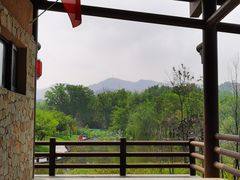 -黄陂区野村谷景区