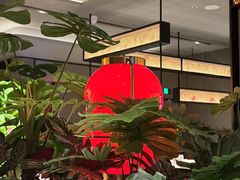 -辛香汇·现炒川菜(城北万象城店)