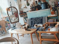 -平行世界·猫咖(首经贸店)