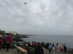 -Dombe豚(黑猪肉街店)