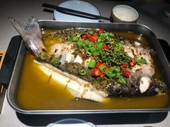 -老板恋上鱼(高新万达店)
