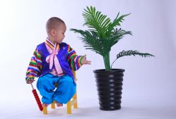 -豆豆飞儿童摄影(ccpark店)