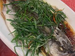 -揭东万竹园旅游景区