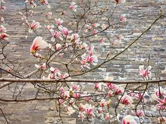 -东华门大街小区