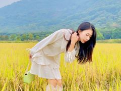 -艾米稻香小镇