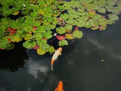 -杭州植物园