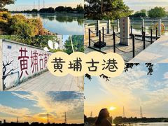 -黄埔古港