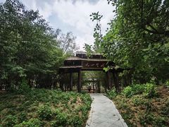 -滕州微山湖红荷湿地景区