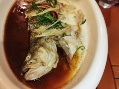 清蒸棱鱼-长春市茶啊衝饭店(南湖公园店)