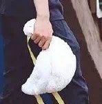 -正佳冰河湾真冰滑冰场
