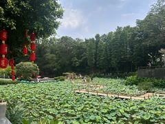 -广州莲花山旅游区